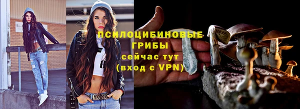 дживик Рославль