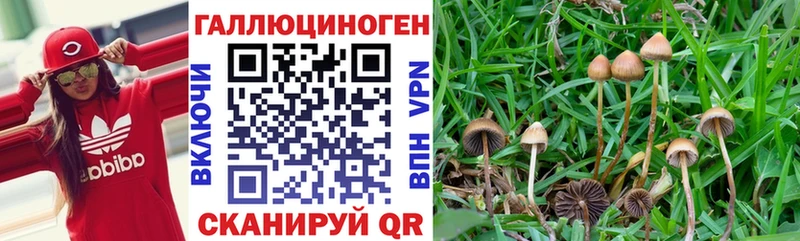 Галлюциногенные грибы ЛСД  Вельск 